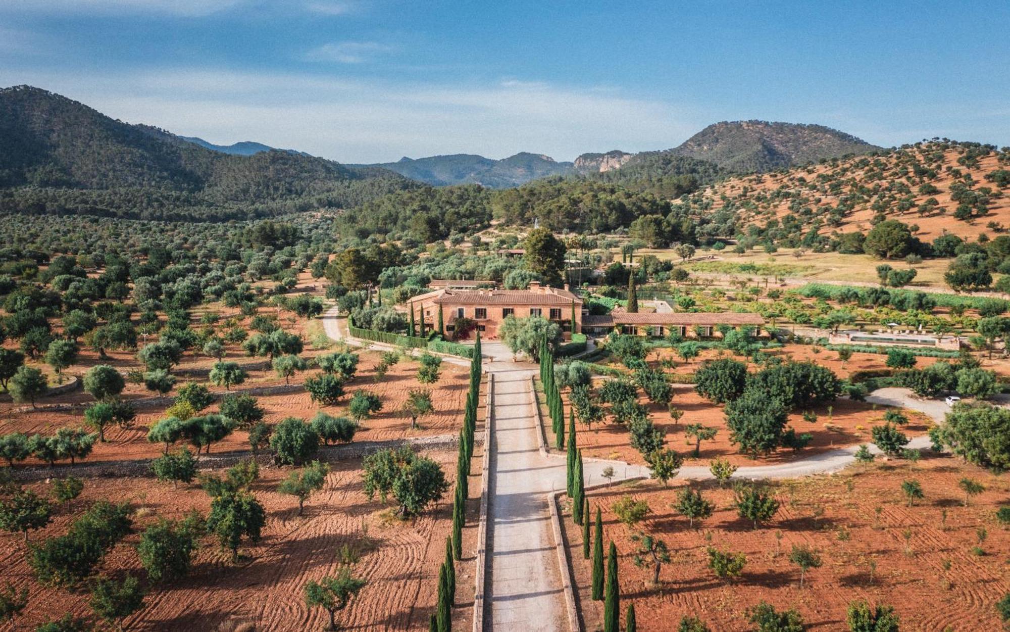 Finca Es Cabas Hotel Santa Maria del Cami  Buitenkant foto