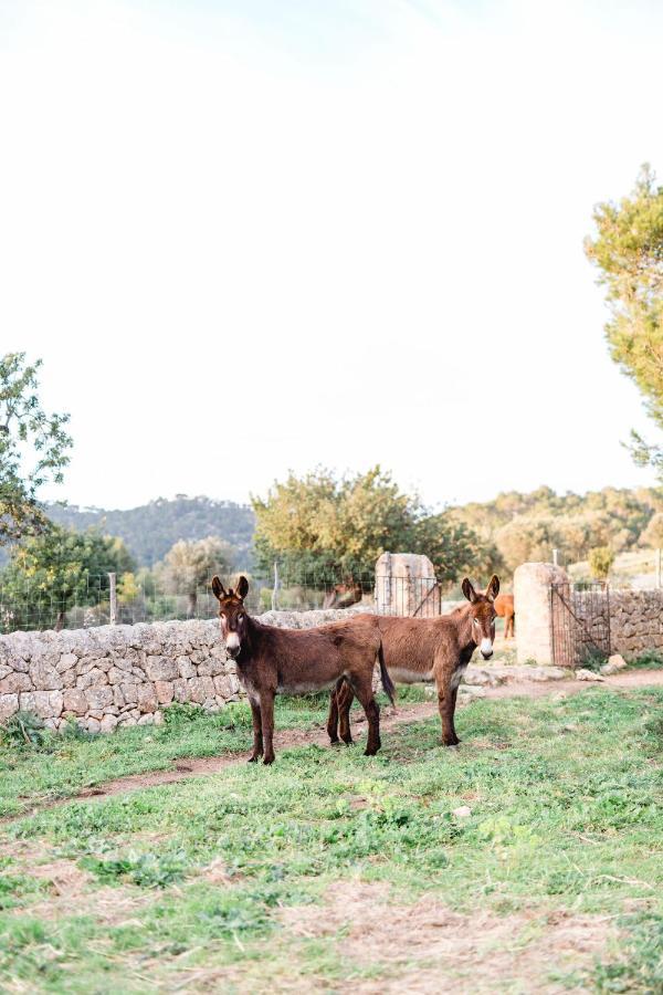 Finca Es Cabas Hotel Santa Maria del Cami  Buitenkant foto