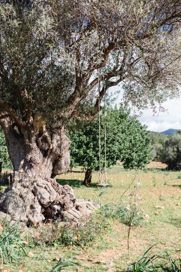 Finca Es Cabas Hotel Santa Maria del Cami  Buitenkant foto